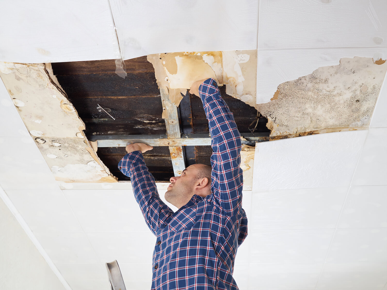 our restoration crew can handle any water damage dry view items home call