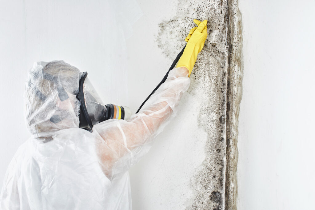 Should You Try to Treat Mold on Your Own?