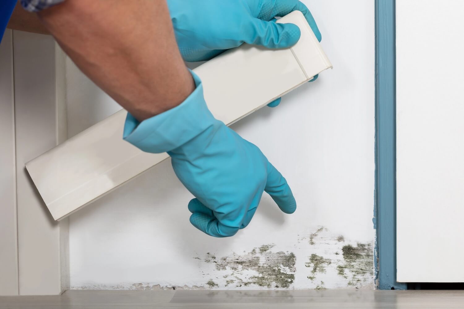 How to Find The Best Mold Remediation Professional Near You home health services time