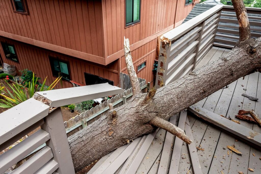 What Should You Do If Your Home Is Damaged In A Storm?