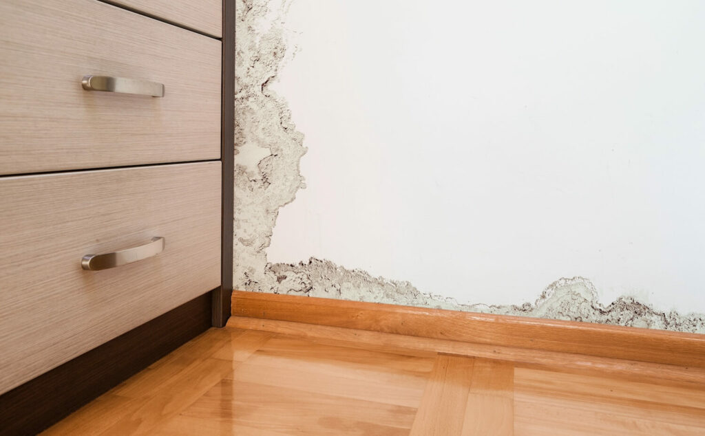 How Important is Professional Water Damage Restoration services