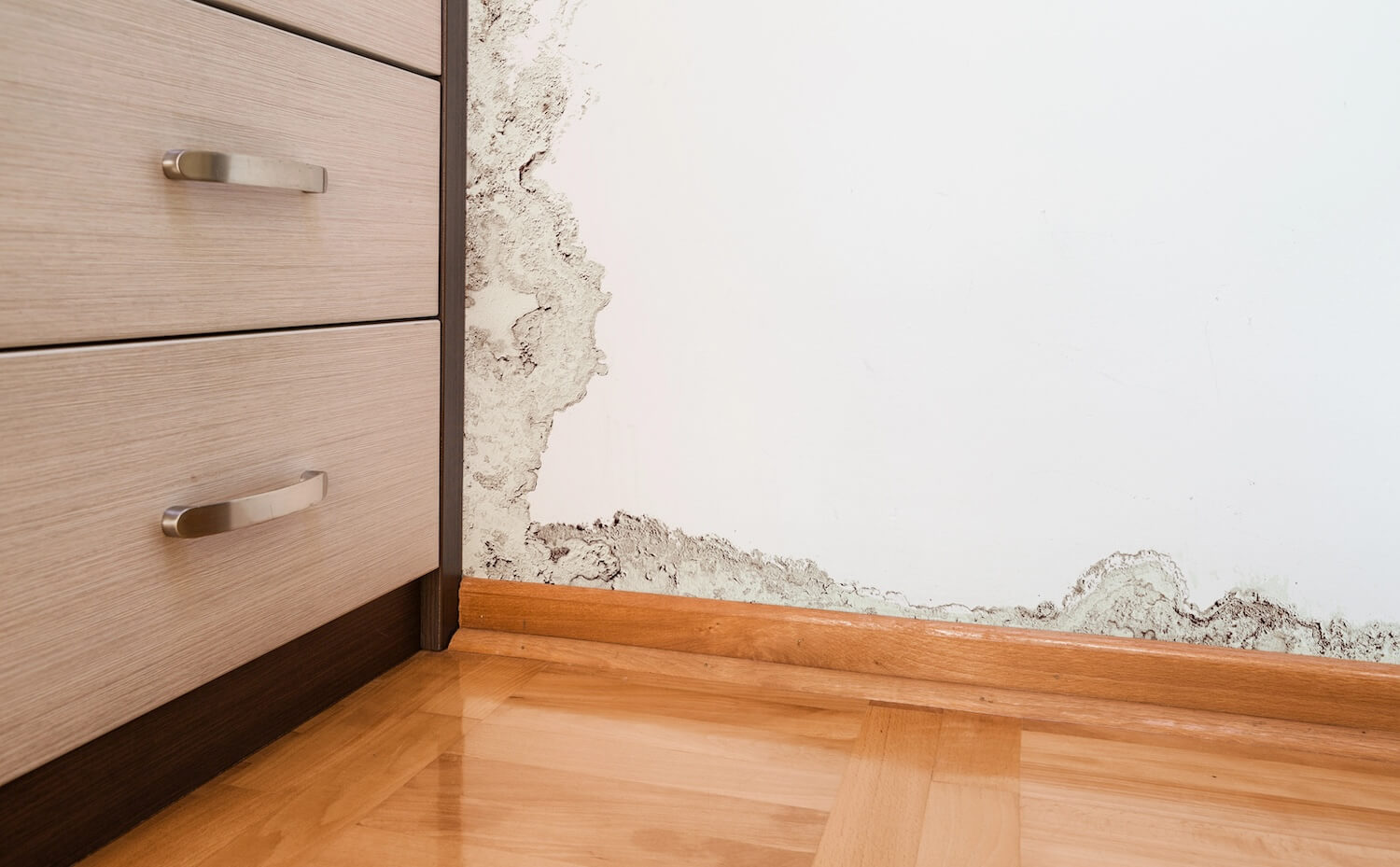 How Important is Professional Water Damage Restoration?