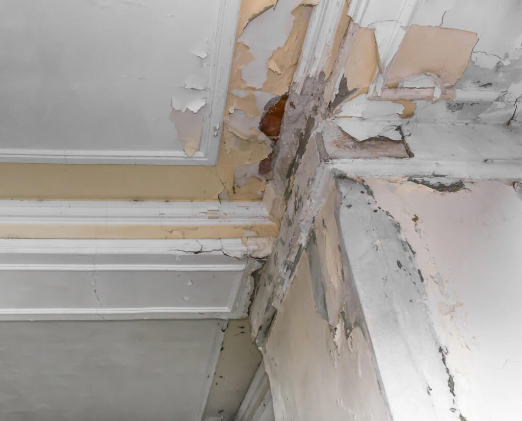 Why Professional Water Damage Restoration Is The Best Way To Go Forward After Disaster